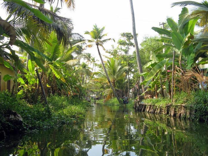 Alapatt Homestay Alappuzha Esterno foto